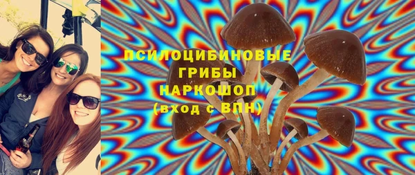 первитин Богданович