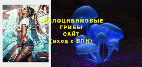 соль ск Богородицк
